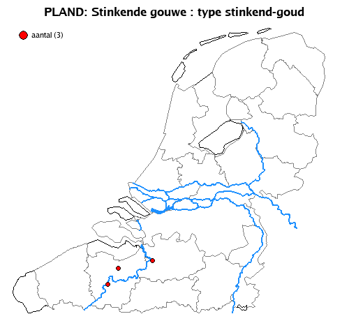 stinkend-goud